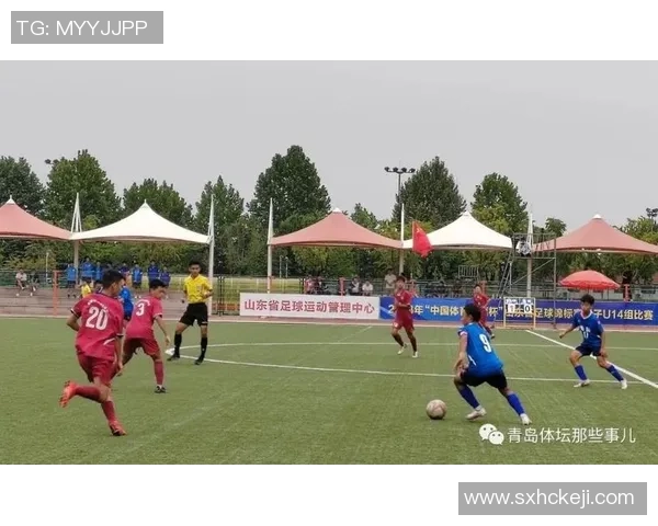 山东省锦标赛足球